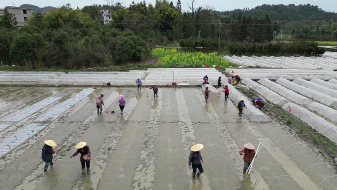 春耕播种  农民劳作背影