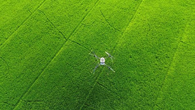 农业无人机飞到田间喷洒肥料，智慧农场4.0概念、人工智能深度结合，机器学习、数字孪生、5G、工业4.