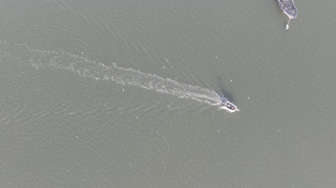 航拍俯瞰威海市高区双岛湾海面航行快艇海鸥