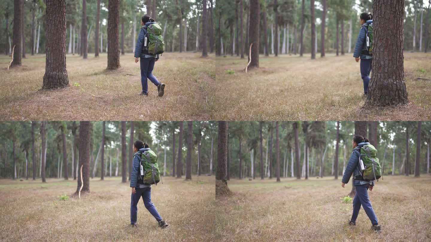 女徒步旅行者在松树林中徒步旅行