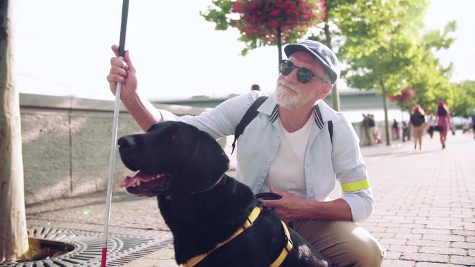 一位老年盲人带着导盲犬在城市户外休息。缓慢的运动。
