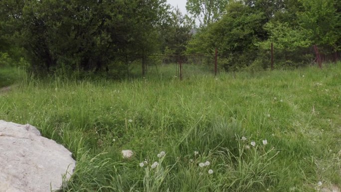 在保加利亚Tsarichina Hole村的森林里，一架无人机正在接近一条土路中间的天然岩石地标。