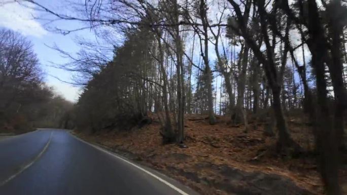 在保加利亚的亚巴尔干半岛公路E871上行驶，树木的落叶覆盖了蜿蜒道路旁的地面，直到我们开到松树占主导