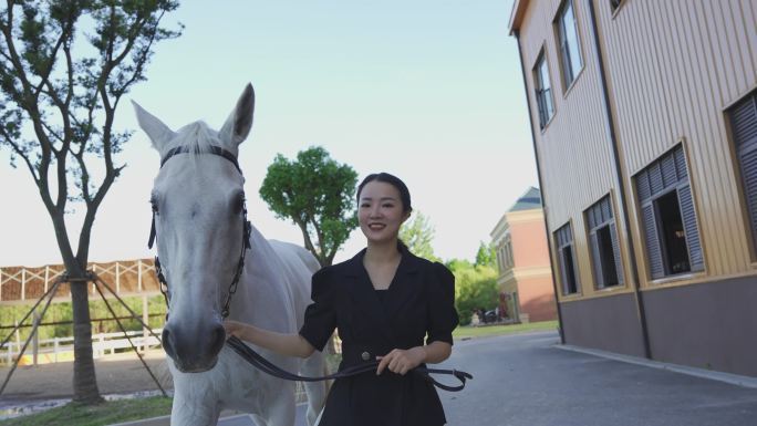 喂马 遛马 抚摸马 白马 马场 学习骑马