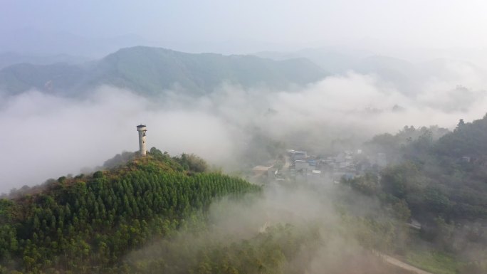 广西乡村 云海日出 低层云雾5