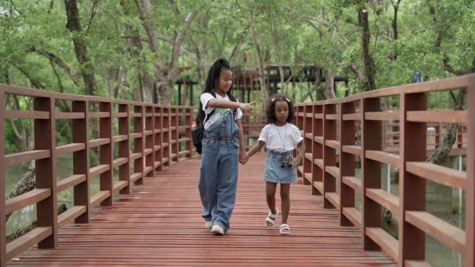 在红树林学习中心，姐姐和妹妹在木桥上手拉手学习生态系统。