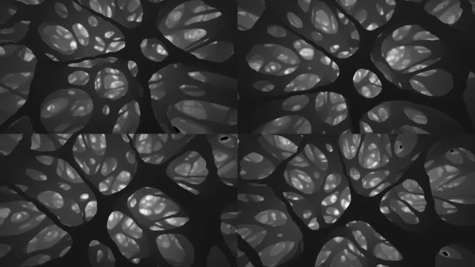 逼真的3D动画展示了海绵状骨组织的微观世界，类似于用先进的CT或3D超声进行探索。