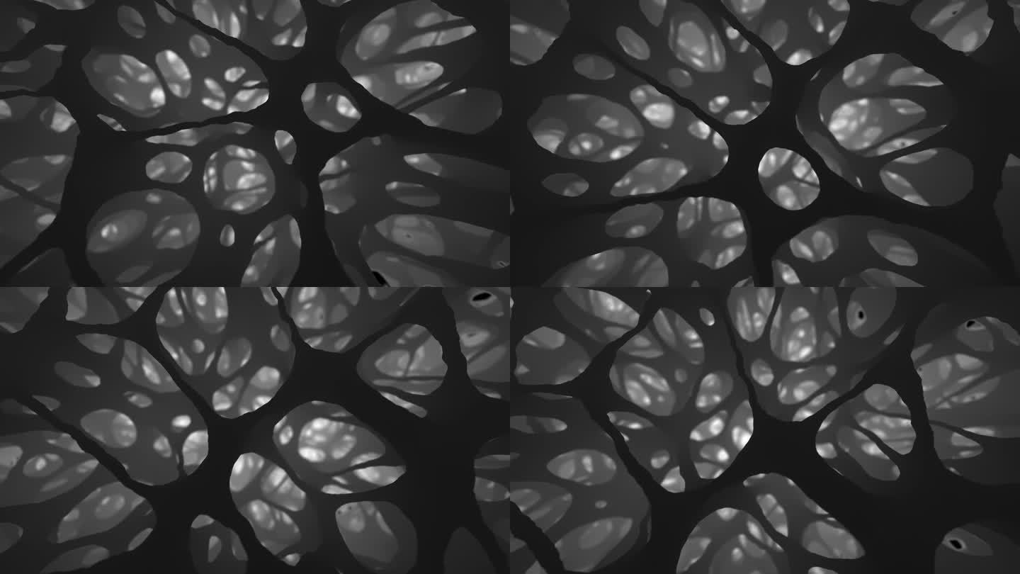 逼真的3D动画展示了海绵状骨组织的微观世界，类似于用先进的CT或3D超声进行探索。