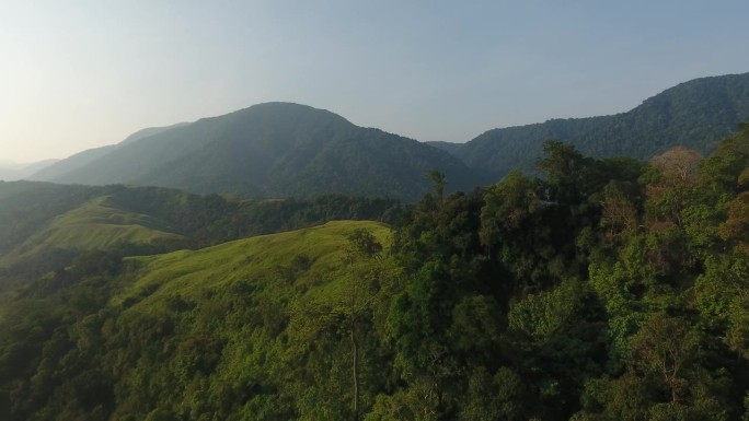在热带雨林中部的稀树草原鸟瞰图-库存视频