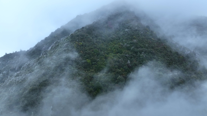 大山森林云雾缭绕