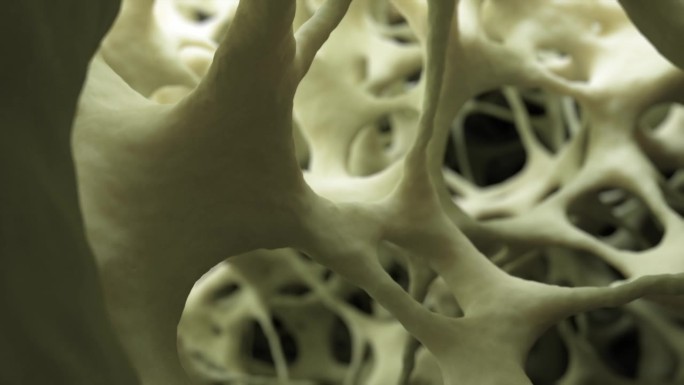 电子显微镜风格的健康海绵状骨组织的3D动画，与摄像机移动，突出其详细的结构。
