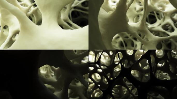 电子显微镜风格的健康海绵状骨组织的3D动画，与摄像机移动，突出其详细的结构。