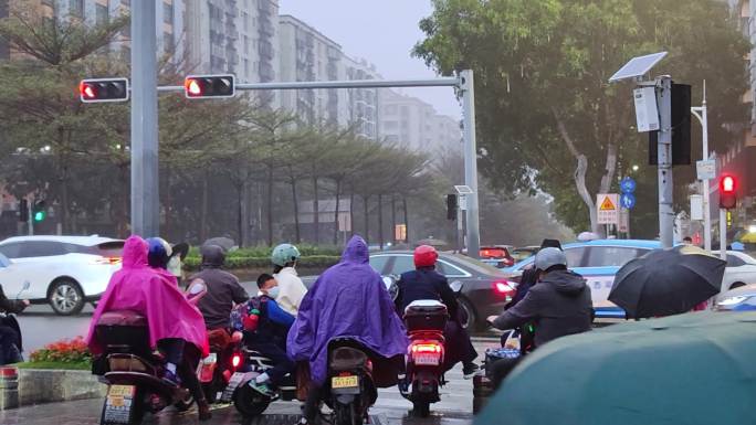 撑伞的人 上学 学生 雨中学生 早晨读书