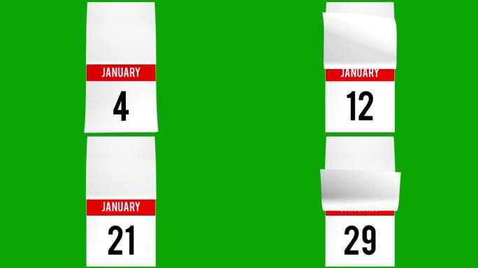 一月每日日历与动画翻页和白页在最后写你的信息。日历翻页，翻页书3D动画在绿色屏幕上。