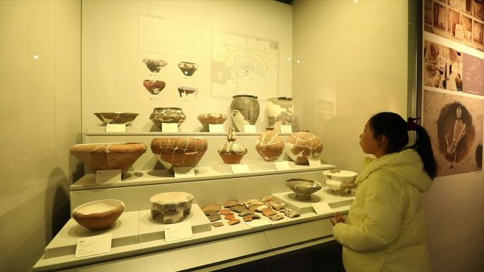参观郑州市考古博物馆