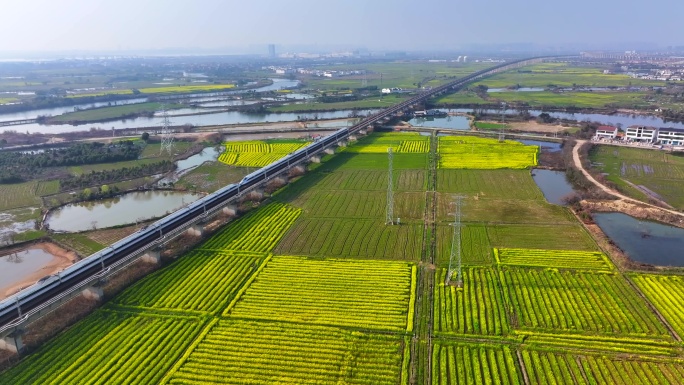 高铁 动车 复兴号和谐号穿过万亩油菜花海