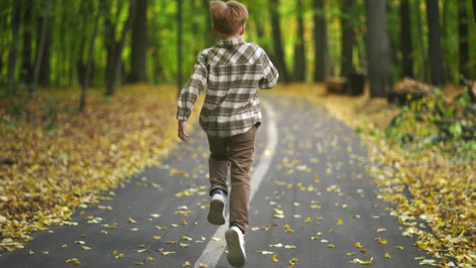 一个小男孩走在树林里的一条小路上