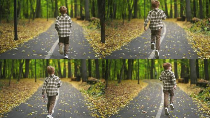 一个小男孩走在树林里的一条小路上