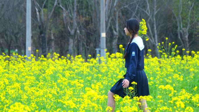 4K学生装的女子在油菜花田的各种镜头