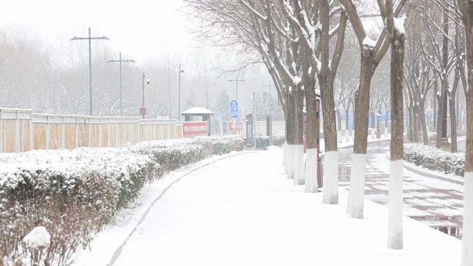 冬日初雪