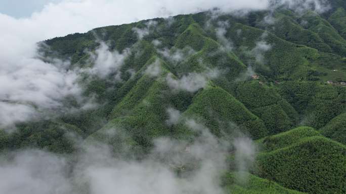 未调色原格式视频平塘马安竹海