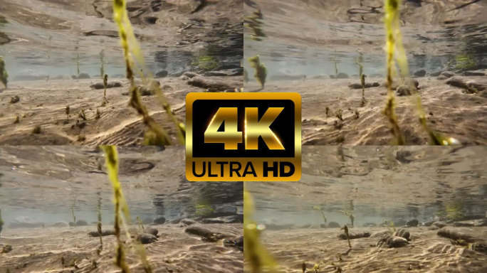 4K拍摄水下流光视频素材