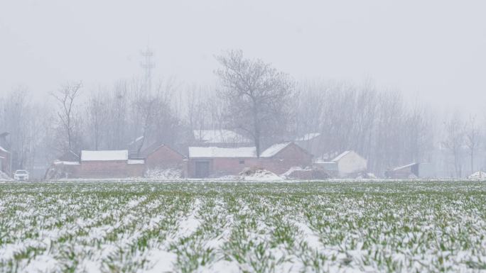 冬季下雪天的麦田和村庄