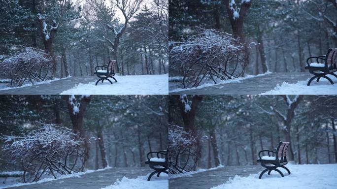 冬日 公园长椅