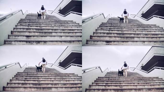 老年盲人带着导盲犬走上城市楼梯的后视图。