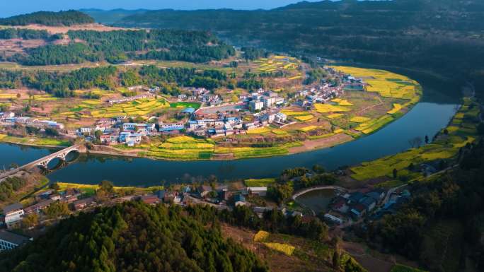 油菜花春暖花开蜜蜂采蜜踏青乡村振兴惊蛰