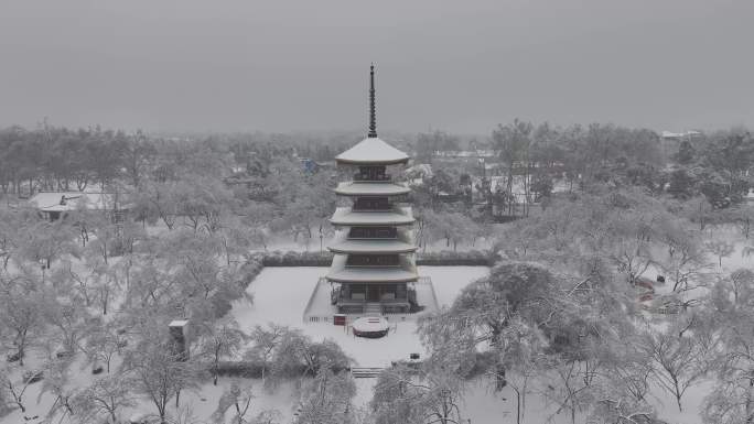 武汉东湖樱园雪景 航拍