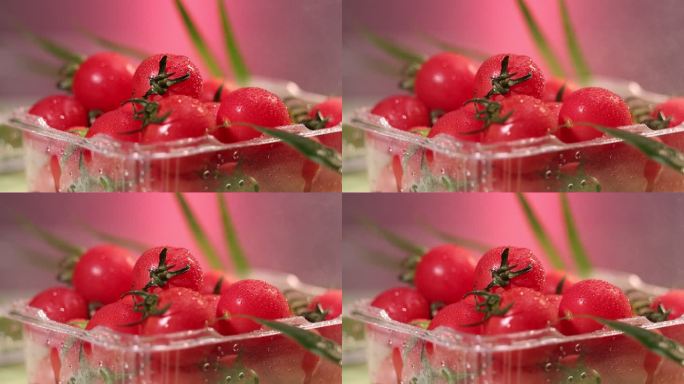 超市精装小番茄 圣女果高清实拍