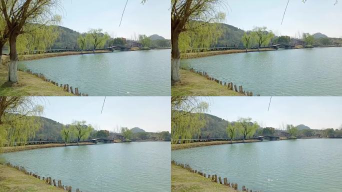 杭州的春天风景