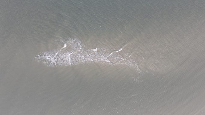 航拍俯瞰威海双岛湾沙渚鱼梁海浪春潮