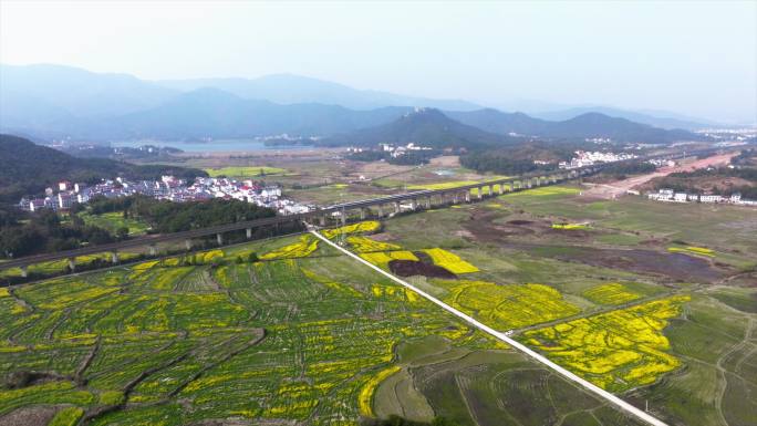 高铁飞驰而过油菜花田野