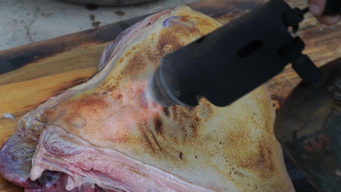 刮猪毛 猪肉 处理猪肉 年猪 撩猪毛