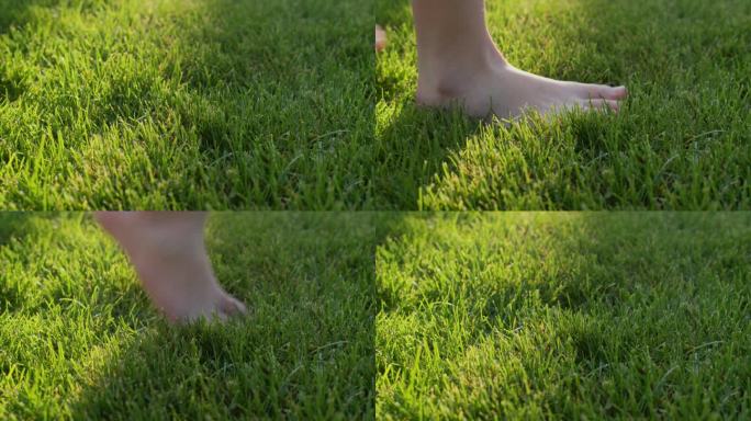 孩子的脚走在绿色的草地上，行走的脚的特写