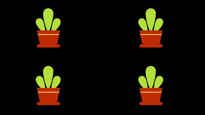 一个盆栽仙人掌植物与绿叶图标的概念循环动画视频与alpha通道