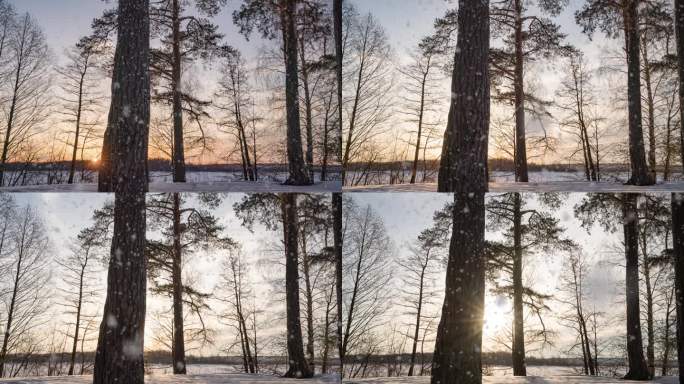 冬季景观与美丽的降雪，延时，相机运动，超延时