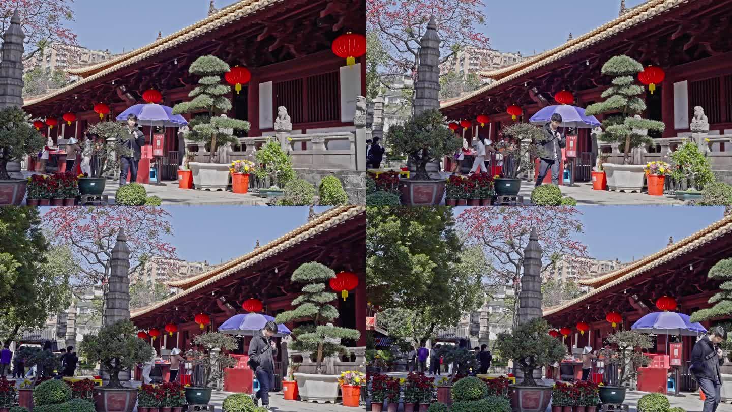 4K实拍，初春游人在广州光孝寺参观浏览。