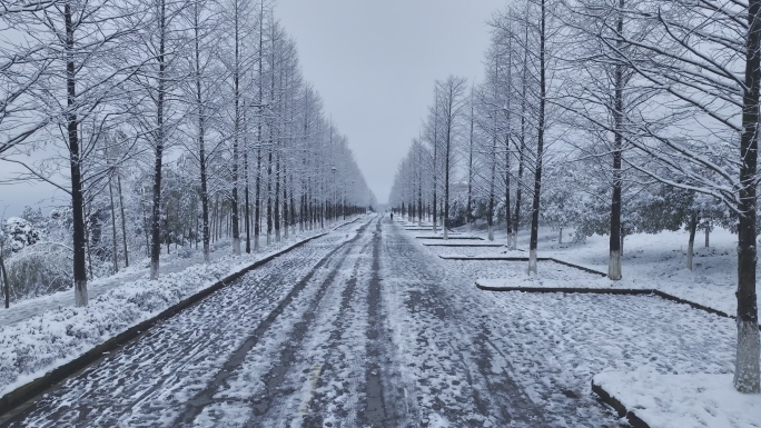 雪景街道乡村下雪冰雪世界