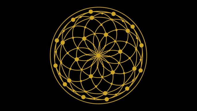 生命之花金色线条色彩，曼陀罗几何透明背景。4 k。