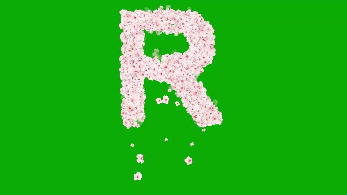 英文字母R与樱花绿色屏幕背景