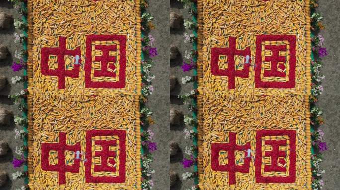 玉米和辣椒组成的中国字样