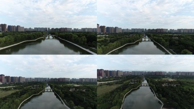 汉城湖生态 (2)