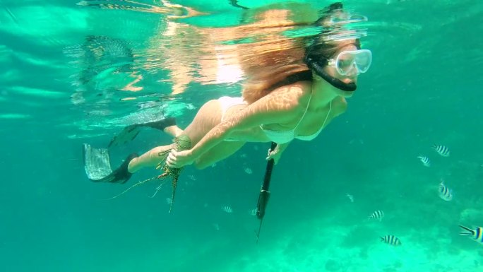 鱼叉钓鱼，浮潜和龙虾与妇女在海洋游泳，旅行和冒险。热带，狩猎和潜水员与年轻人和鱼叉在海上的暑假，鱼和