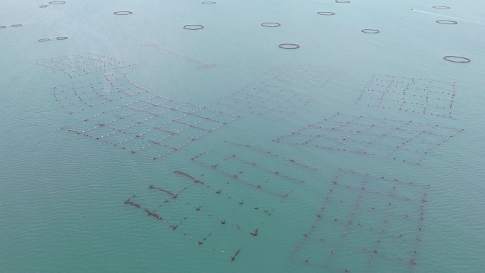 海洋牧场海上养殖鱼排鲍鱼贝类网箱