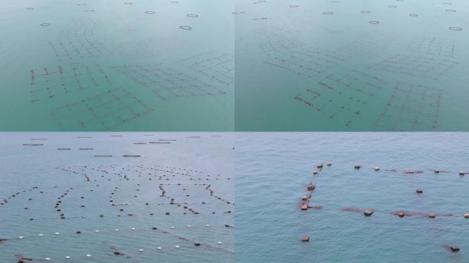 海洋牧场海上养殖鱼排鲍鱼贝类网箱