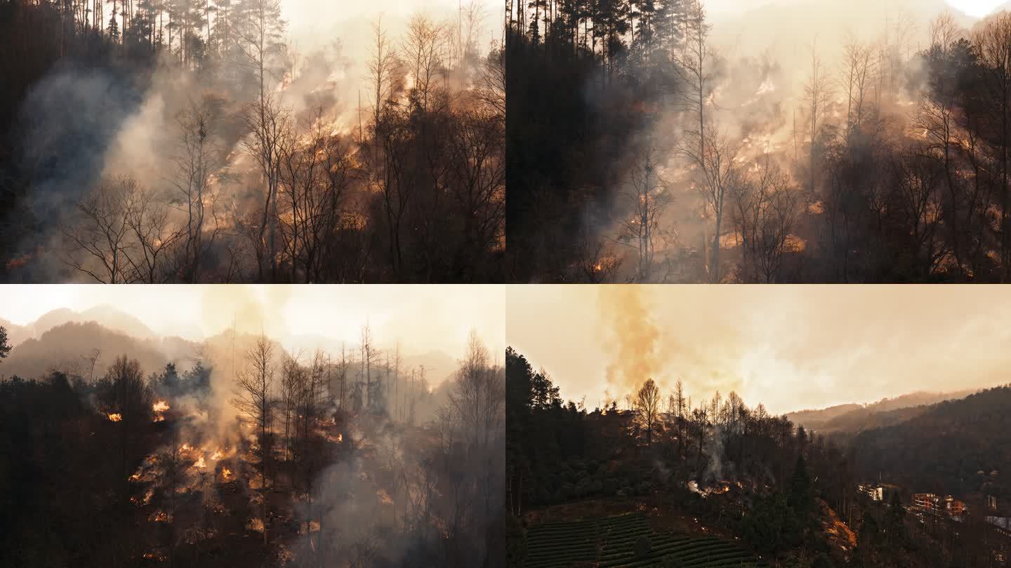 4K 实拍 山林山火燃烧 森林火灾 航拍