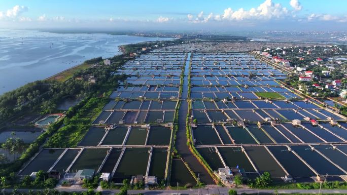 无人机拍摄的越南泰平东洲虾湖养殖场景观